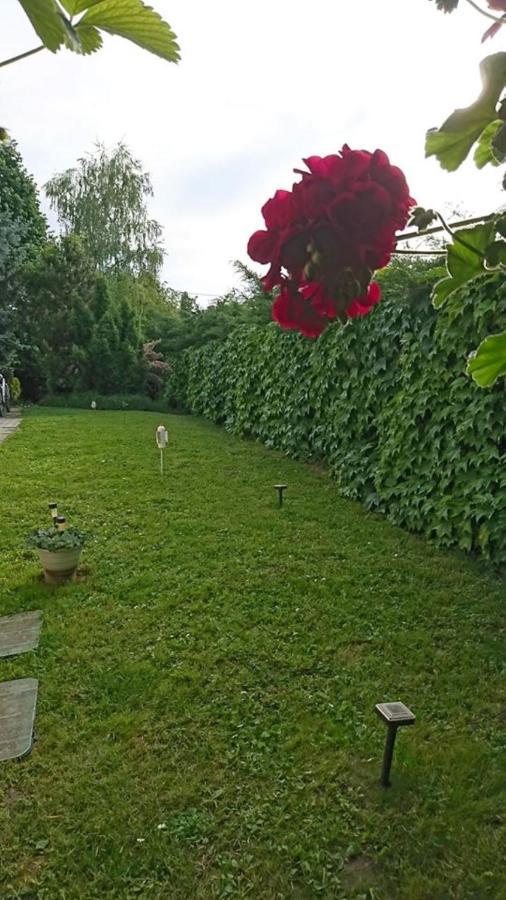 Ferienwohnung Liliana Vendeghaz Balatonfůzfő Exterior foto