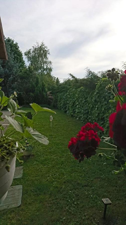 Ferienwohnung Liliana Vendeghaz Balatonfůzfő Exterior foto